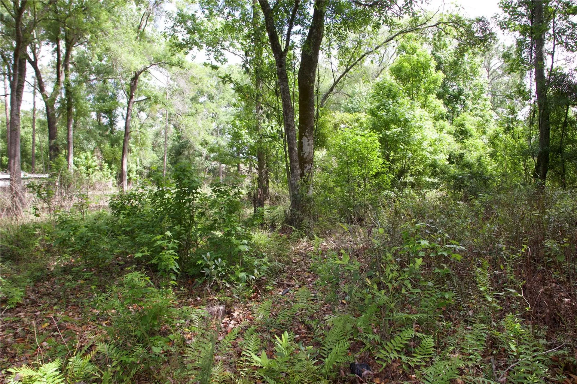 1920 10th Street Orlando FL 32820