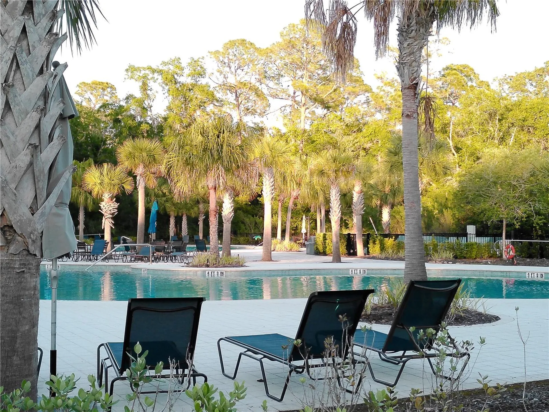 4609 Bexley Village Drive Land O Lakes FL 34638