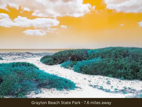 51 Cove Creek Lane Inlet Beach FL 32413