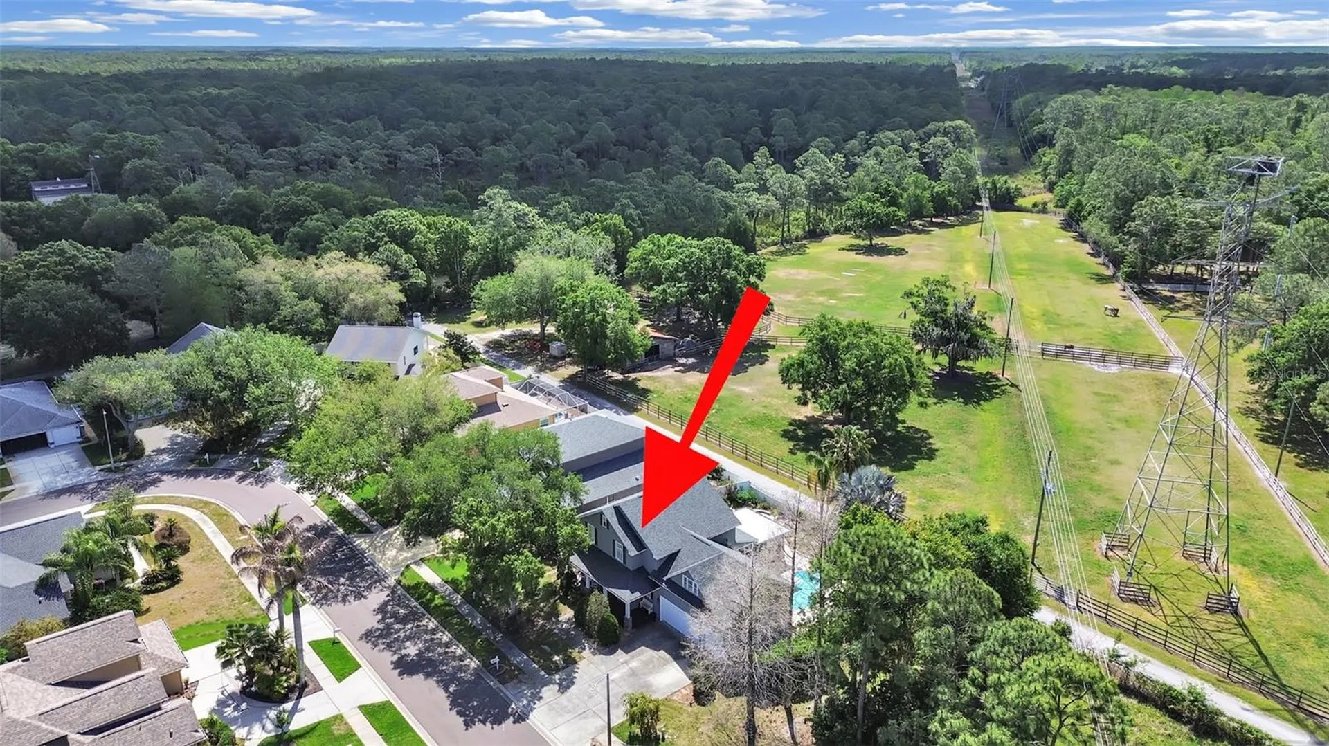 1083 Misty Hollow Lane Tarpon Springs FL 34688