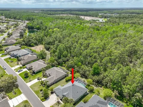 1029 Stone Lake Drive Ormond Beach FL 32174
