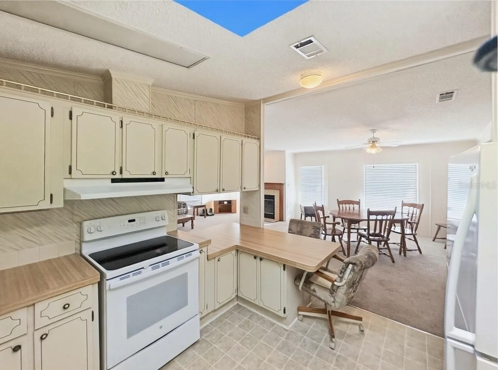 514 S Timber Trail Wildwood FL 34785