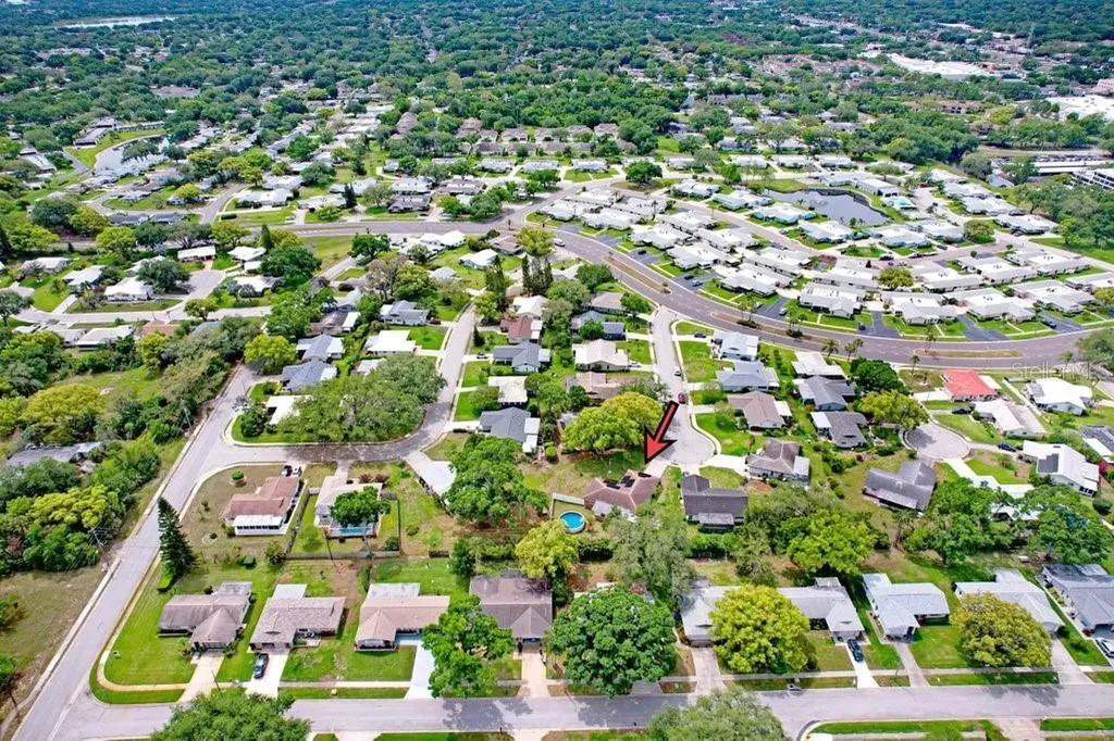 1632 Heather Place Palm Harbor FL 34684
