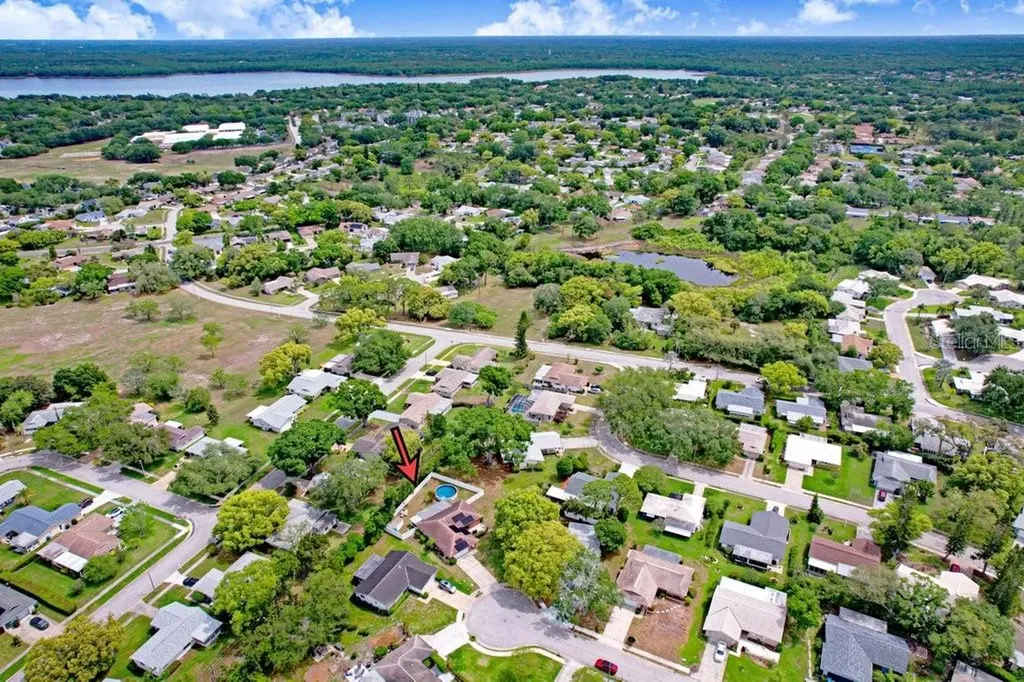 1632 Heather Place Palm Harbor FL 34684