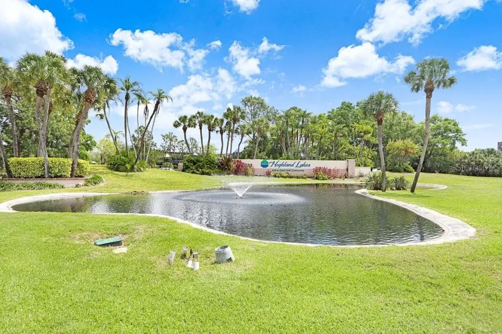 1632 Heather Place Palm Harbor FL 34684