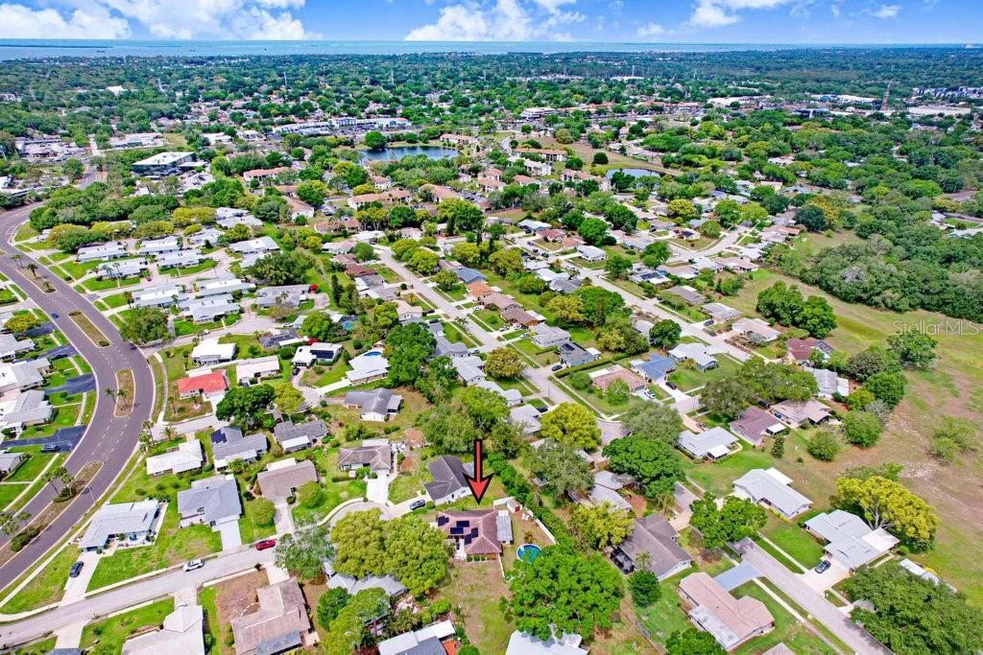 1632 Heather Place Palm Harbor FL 34684