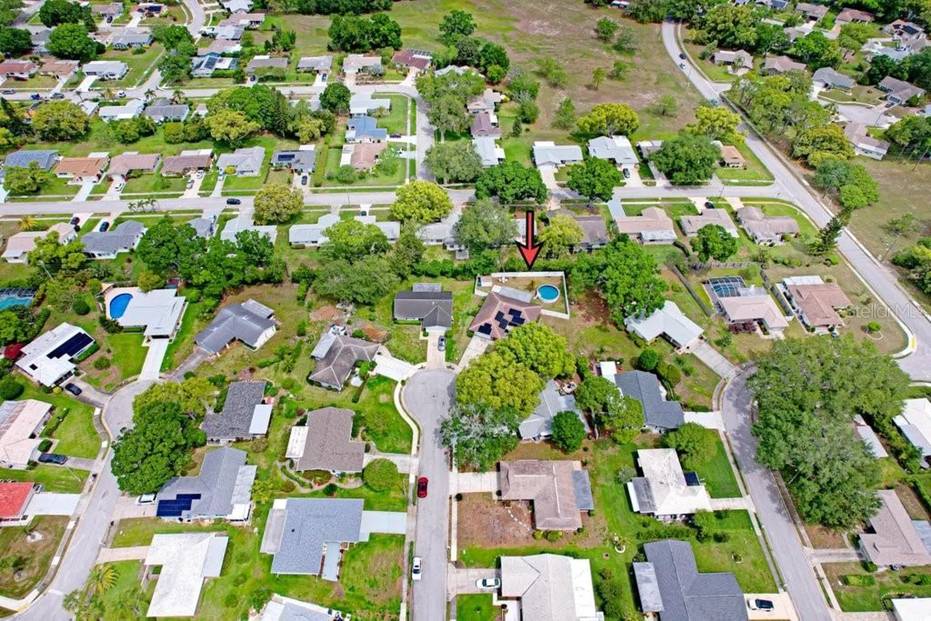 1632 Heather Place Palm Harbor FL 34684