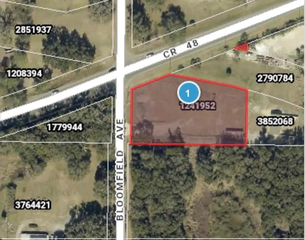County Road 48 Yalaha FL 34797