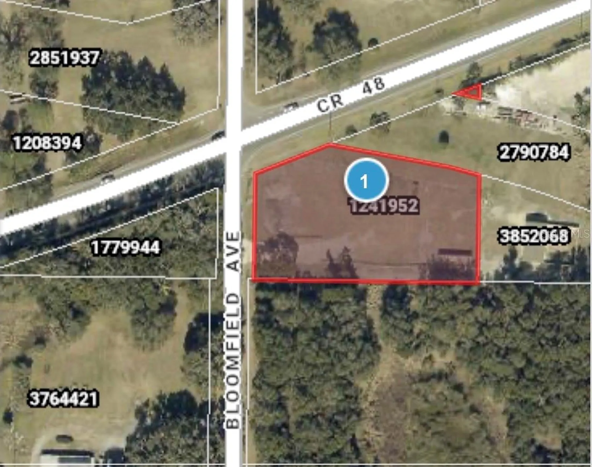 County Road 48 Yalaha FL 34797