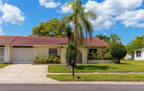 11341 Winwood Place Port Richey FL 34668