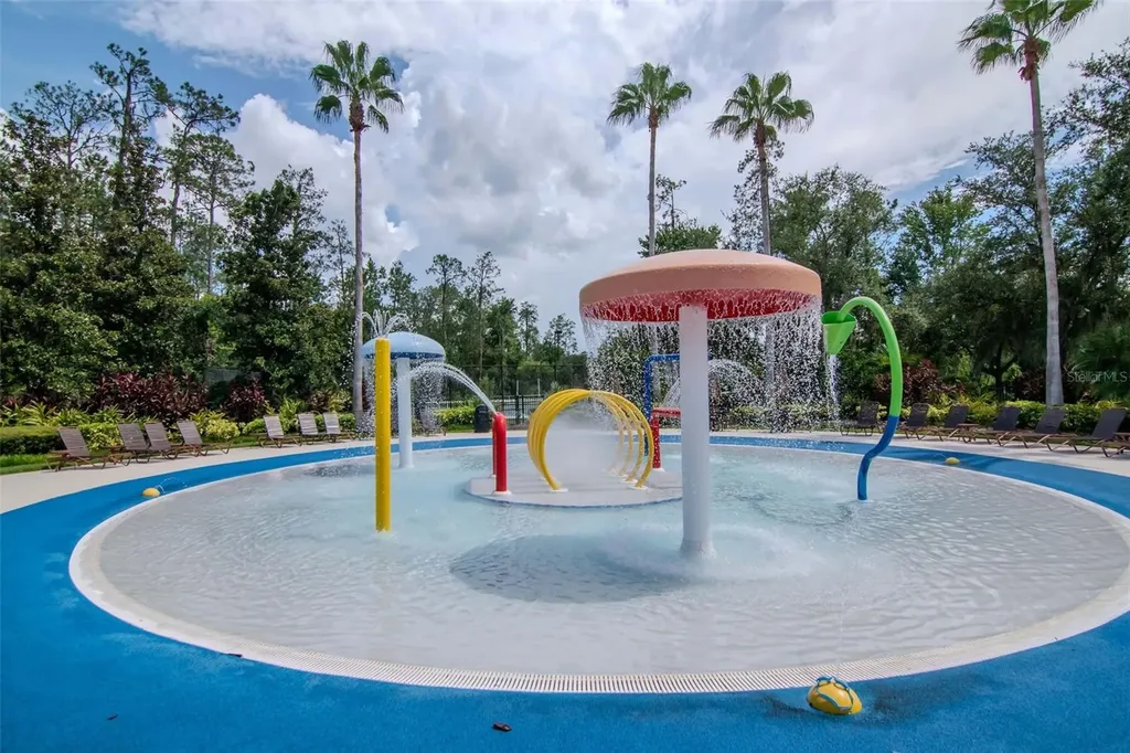 4527 Scarlet Loop Wesley Chapel FL 33544