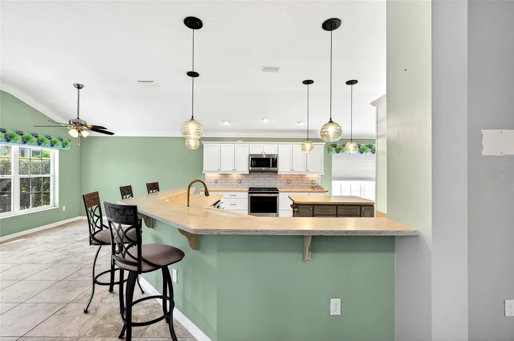 2912 Asher Path The Villages FL 32163