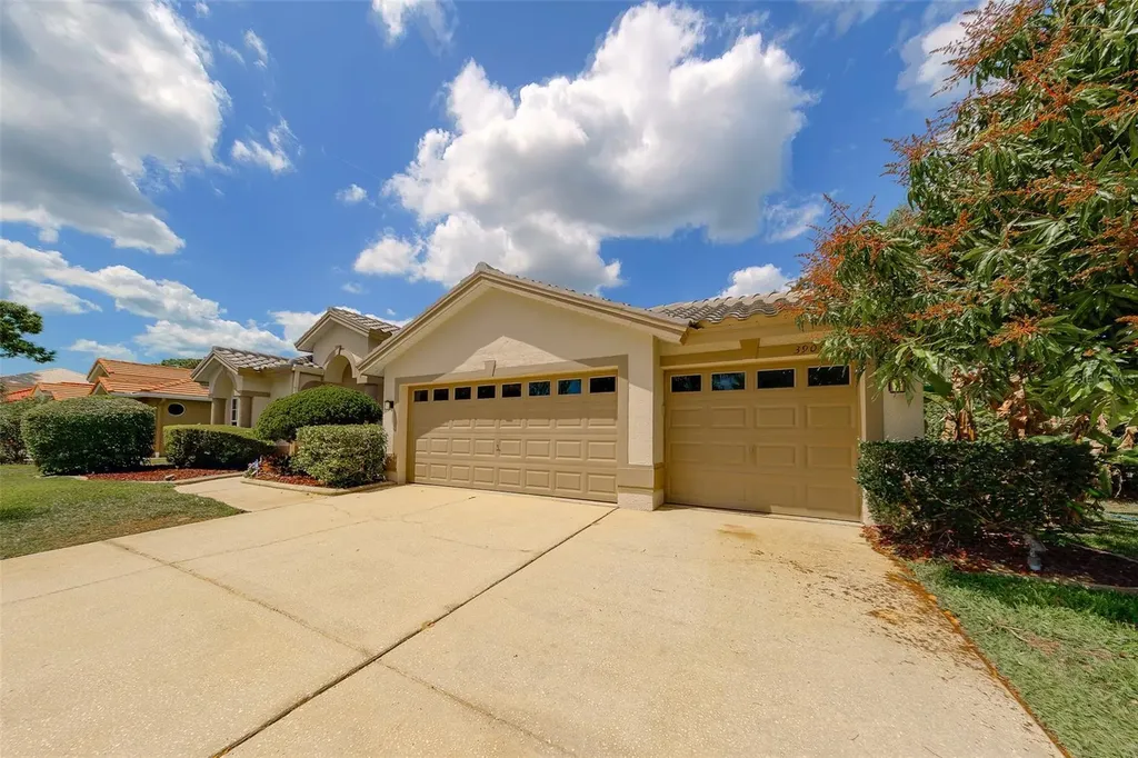 3909 Talah Drive Palm Harbor FL 34684