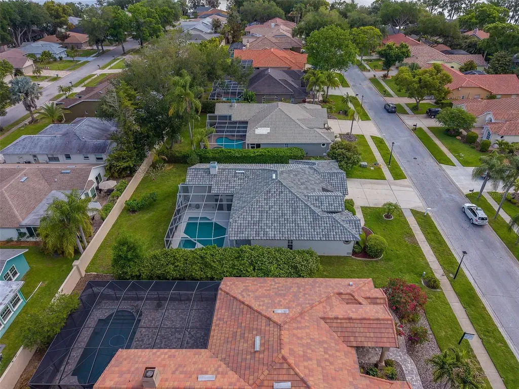 3909 Talah Drive Palm Harbor FL 34684