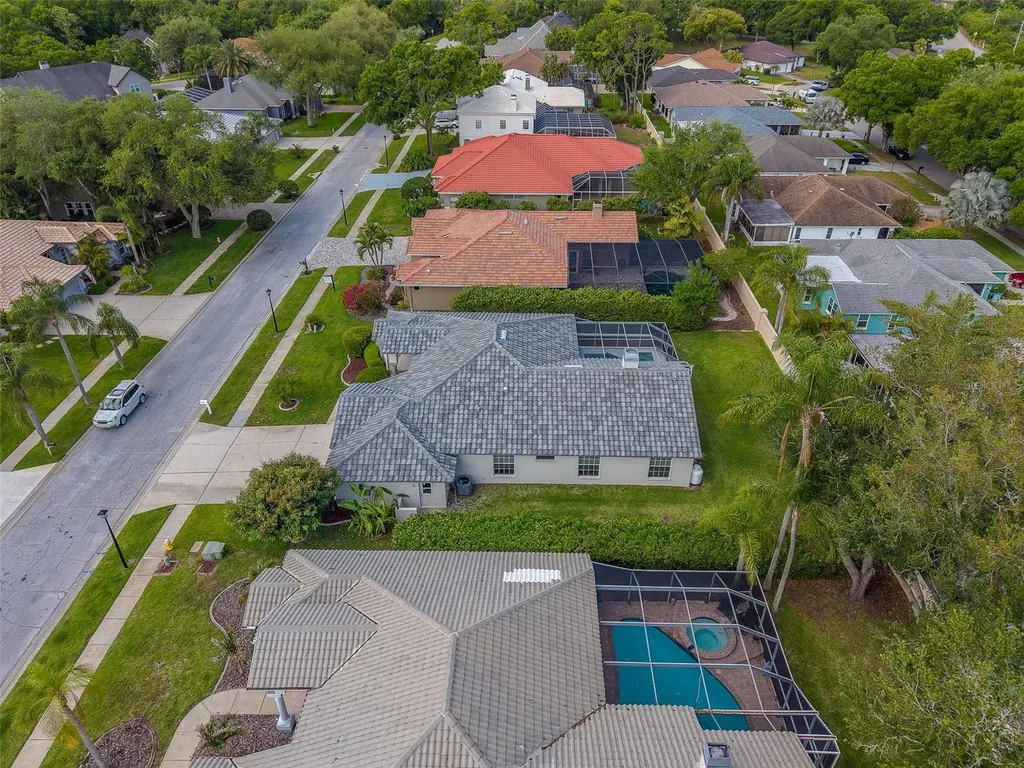 3909 Talah Drive Palm Harbor FL 34684
