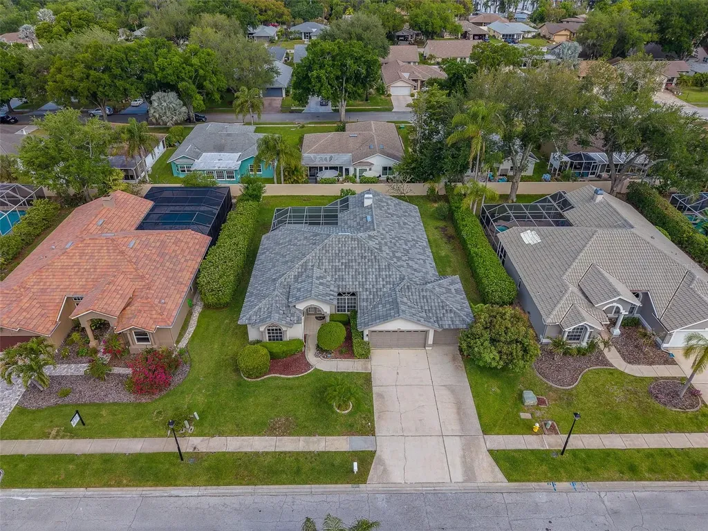 3909 Talah Drive Palm Harbor FL 34684