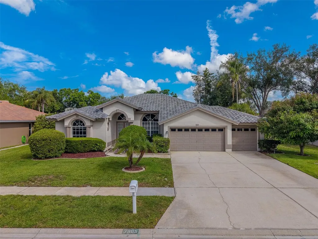 3909 Talah Drive Palm Harbor FL 34684