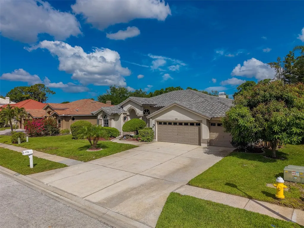 3909 Talah Drive Palm Harbor FL 34684