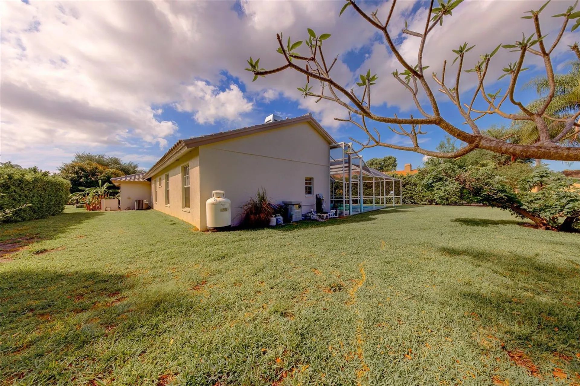 3909 Talah Drive Palm Harbor FL 34684