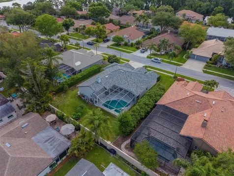 3909 Talah Drive Palm Harbor FL 34684
