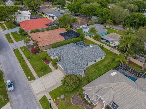 3909 Talah Drive Palm Harbor FL 34684