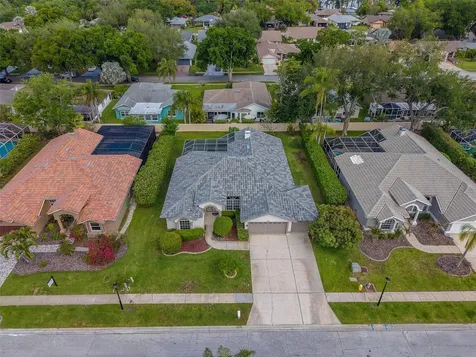 3909 Talah Drive Palm Harbor FL 34684