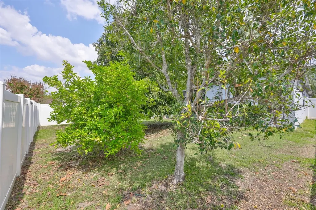 10806 Whitecap Drive Riverview FL 33579
