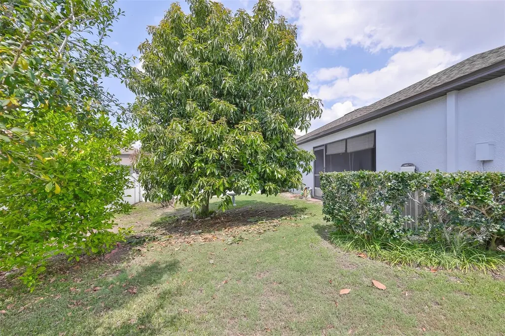 10806 Whitecap Drive Riverview FL 33579