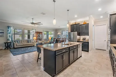 31899 Magna Gulf Loop San Antonio FL 33576