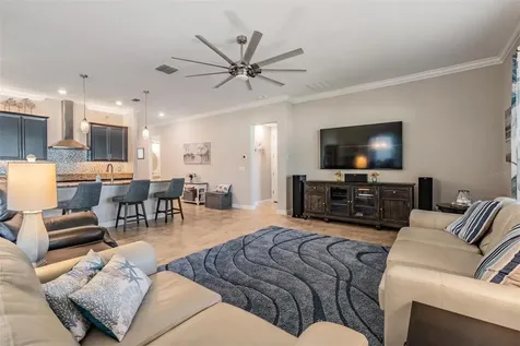 31899 Magna Gulf Loop San Antonio FL 33576