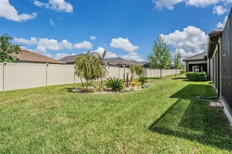 31899 Magna Gulf Loop San Antonio FL 33576
