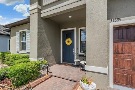 31899 Magna Gulf Loop San Antonio FL 33576