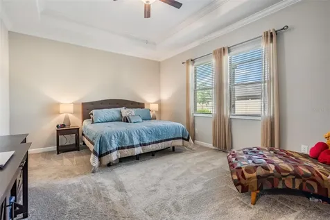 31899 Magna Gulf Loop San Antonio FL 33576