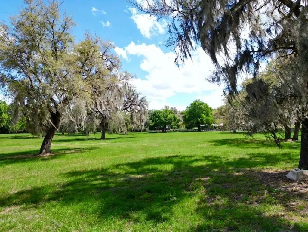Tbd SE 115th Street Belleview FL 34420