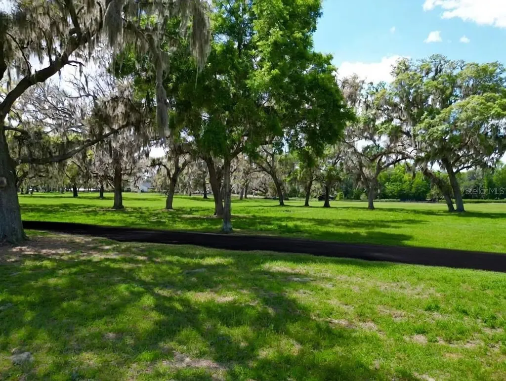 Tbd SE 115th Street Belleview FL 34420