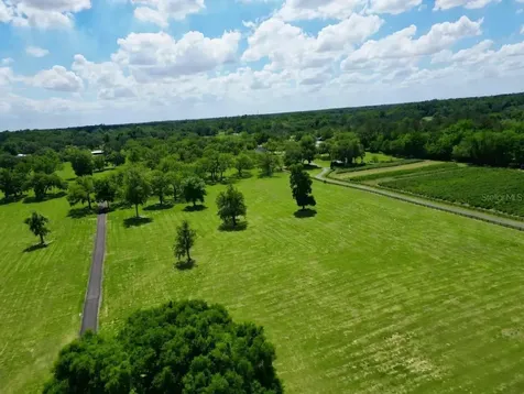 Tbd SE 115th Street Belleview FL 34420