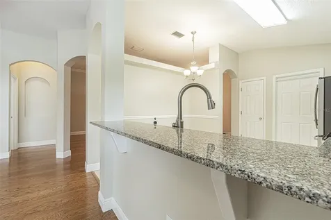 10312 Old Tampa Bay Drive San Antonio FL 33576