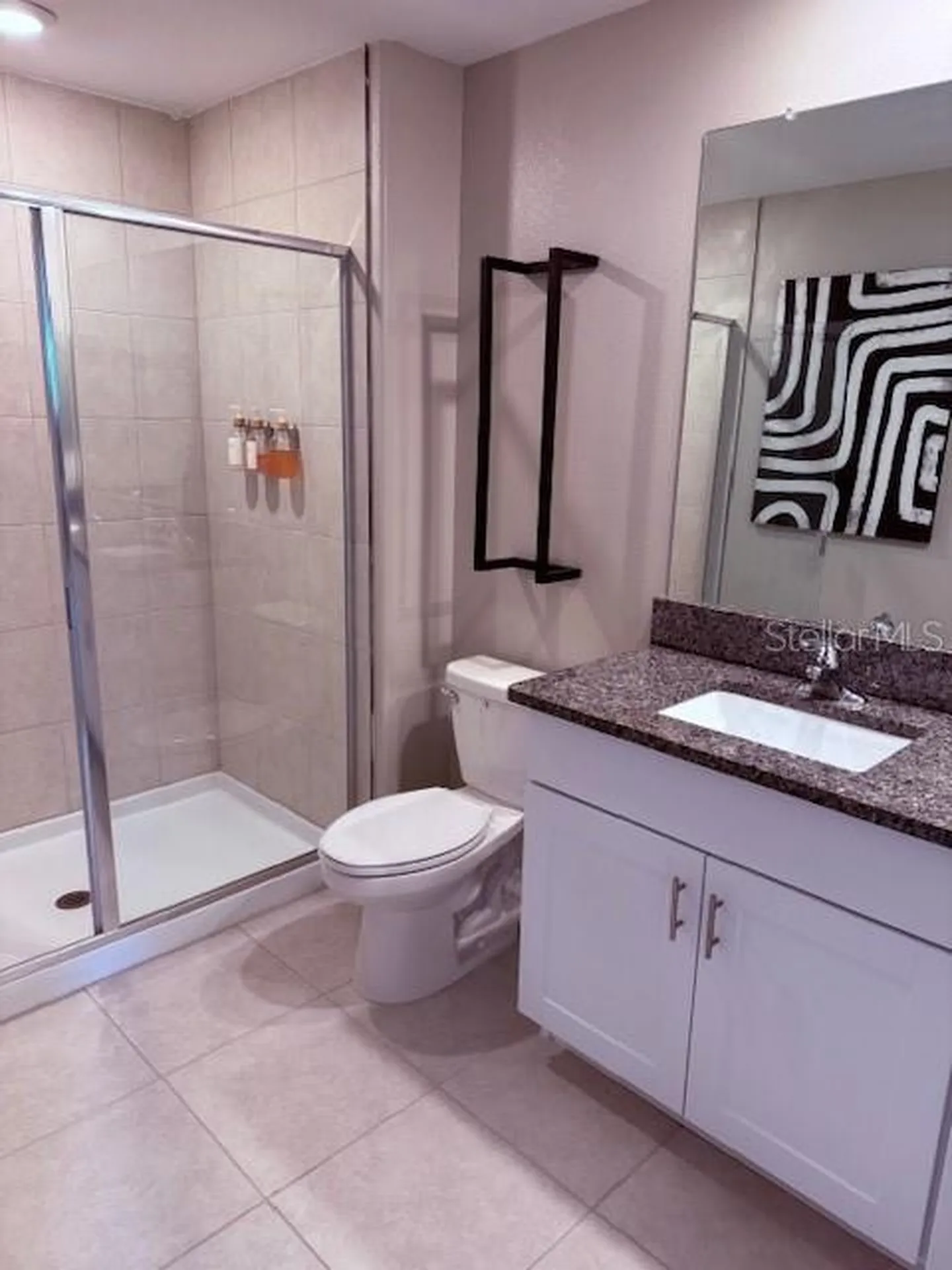 2136 Cerulean Sky Way Lutz FL 33558