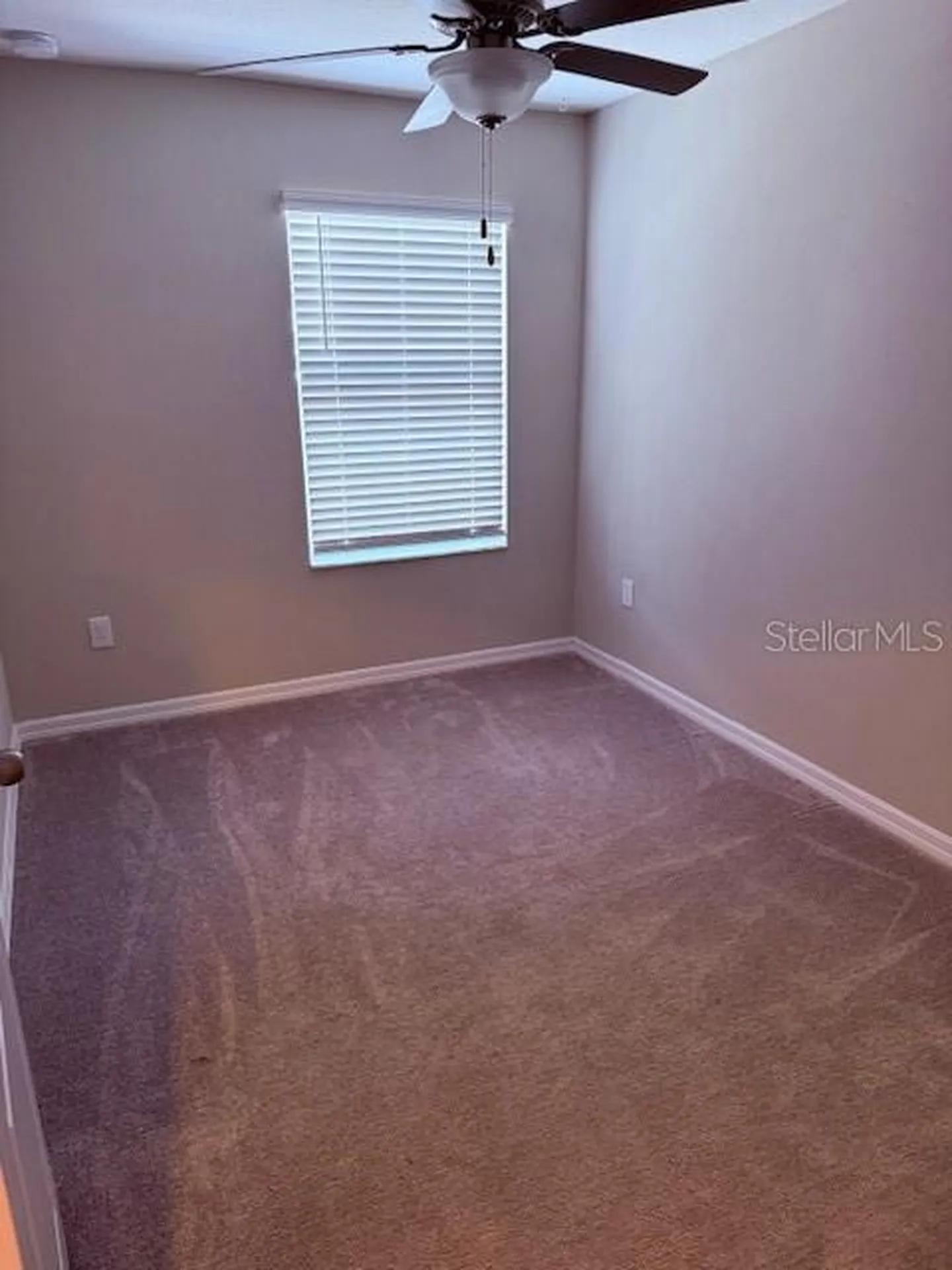 2136 Cerulean Sky Way Lutz FL 33558