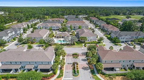 1105 Lady Gouldian Court Tampa FL 33613