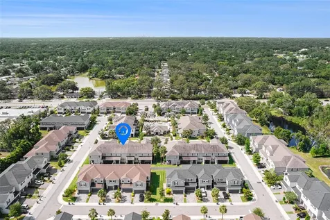 1105 Lady Gouldian Court Tampa FL 33613