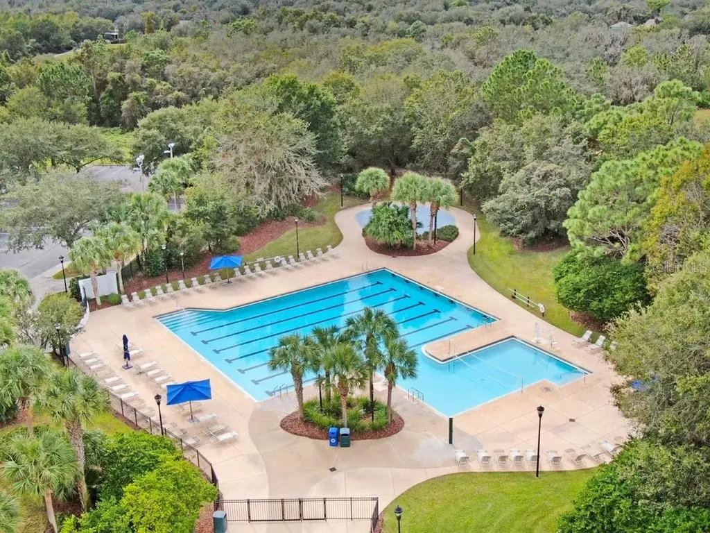 5113 Sanderling Ridge Drive Lithia FL 33547