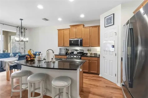 5113 Sanderling Ridge Drive Lithia FL 33547