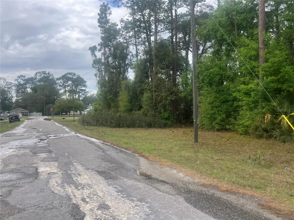 SE 19th Place SE 19th Place Silver Springs FL 34488