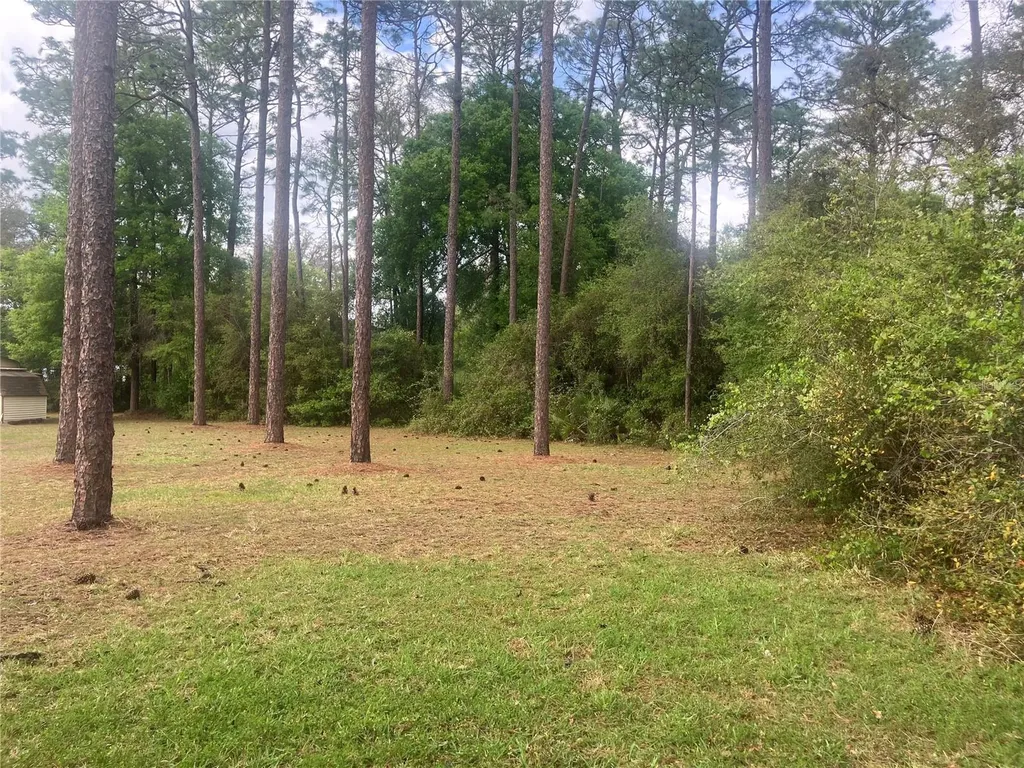 SE 19th Place SE 19th Place Silver Springs FL 34488