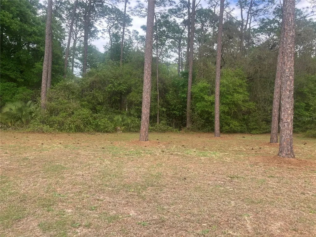 SE 19th Place SE 19th Place Silver Springs FL 34488