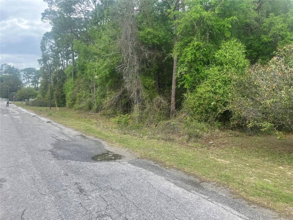 SE 19th Place SE 19th Place Silver Springs FL 34488