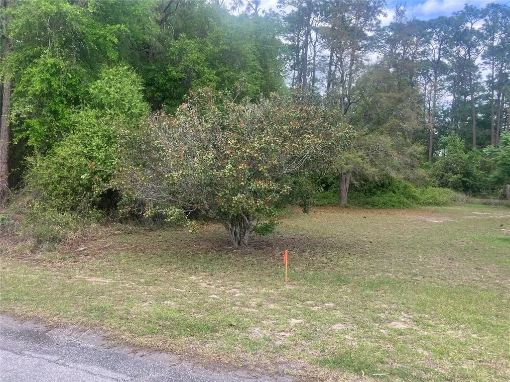 SE 19th Place SE 19th Place Silver Springs FL 34488