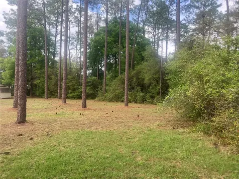 SE 19th Place SE 19th Place Silver Springs FL 34488