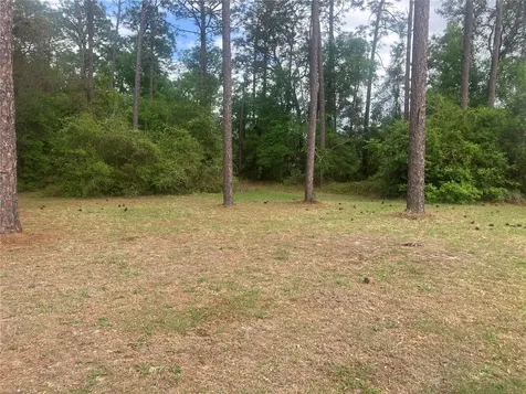 SE 19th Place SE 19th Place Silver Springs FL 34488